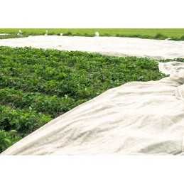 Spyruoklinė agrotekstilė p19 balta 1,1x20m
