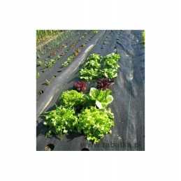 Agrotekstilė p 50 juoda..1.6*5 agro-nov