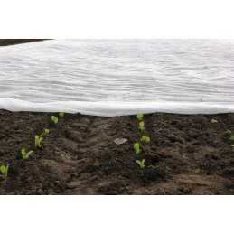Baltos agrotekstilės plotis 160 cm p30 (30g/m2)