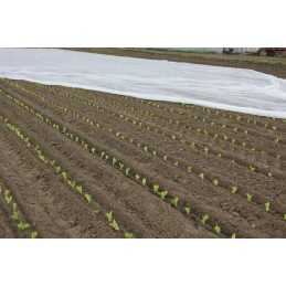 Baltos agrotekstilės plotis 160 cm p30 (30g/m2)