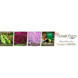 Juoda agrotekstilė 1,1 x 5 m 100g planta