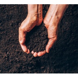 Didelis sodo komposteris, 300 l, antracitas