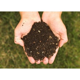 Sodo komposteris iš medžio, 1400l, impregnuotas vidaron wenge v10