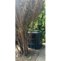 Modulinis sodo komposteris, juodas, ištisus metus, vienos kameros, didelis