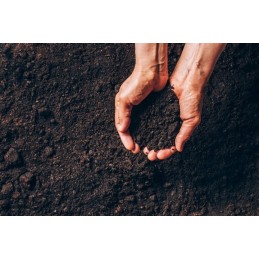 Didelis, tvirtas sodo komposteris 300 litrų komposto