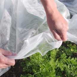 Jūsų pavasariškai balta dengianti agrotekstilė