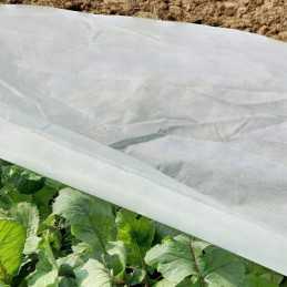 Jūsų pavasariškai balta dengianti agrotekstilė