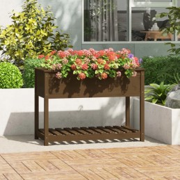 Vidaxl Planter with Shelf Honey Brown 111.5x54x81 cm Pinewood