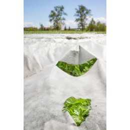 Agrotekstilės užvalkalas žiemos ir pavasario šalnoms, 30g, baltas, 3,2x5m