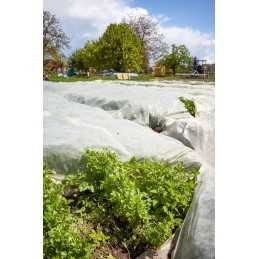Agrotekstilės užvalkalas žiemos ir pavasario šalnoms, 30g, baltas, 3,2x5m