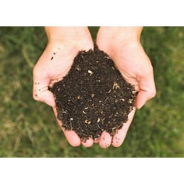 Sodo komposteris 750l, vidaron spalvos lapai