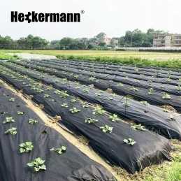 Agrotekstilė nuo piktžolių matinė juoda UV agrotekstilė 1,6x10m 50g/m2 storio