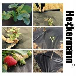 Agrotekstilė nuo piktžolių matinė juoda UV agrotekstilė 1,6x10m 50g/m2 storio