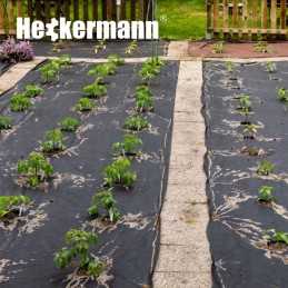 Agrotekstilė nuo piktžolių matinė juoda UV agrotekstilė 1,6x10m 50g/m2 storio