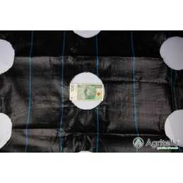 ✨Agritella nuo piktžolių agrotekstilė su skylutėmis sodinti vienam metrui, 0,8x1m, juoda