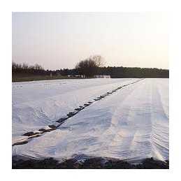 Agroterm balta agrotekstile|50g| grunto danga|mulčias| 1,6x5m