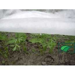 Plantex balta agrotekstilė 19g/m2 320cm 10m