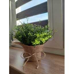 Džiuto audinys, plotis 25 cm per metrą