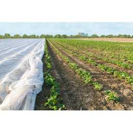 Smeigtukai agrotekstilei, 19 cm, 100 vnt, lygūs, plastikiniai