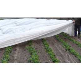 Pavasario sodo neaustinis audinys 1,6x10m