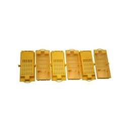 Lyson queen bee shipping cage