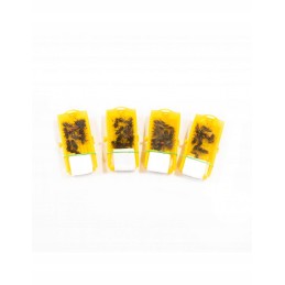 Queen bee shipping cage