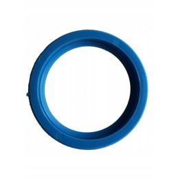 Ring for ceiling