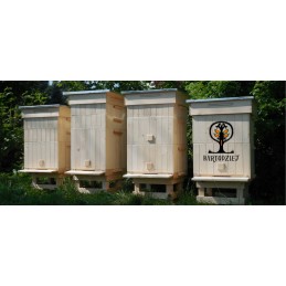 Transport cage for queen bees.