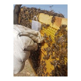 Yellow shipping cage