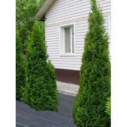 Agrotekstilė nuo piktžolių 70g pakuotėje 1,1x10m