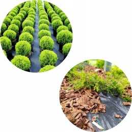 Agrotekstilė agrotekstilė 70g 1,1x 1m itin tvirta