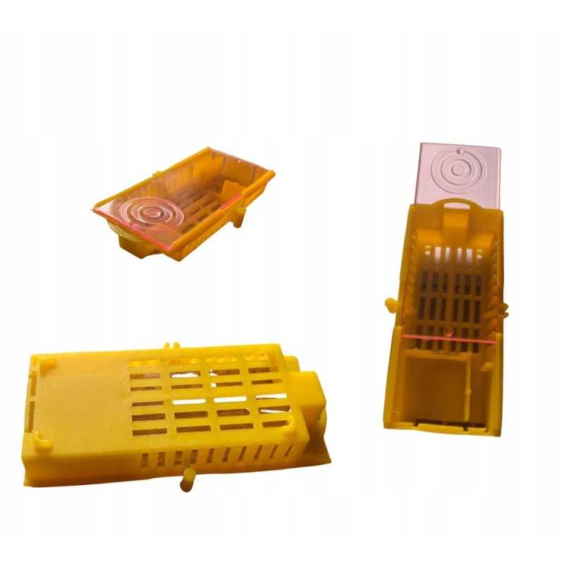 Siuntimo narvas bičių motinėlėms, 2 vnt