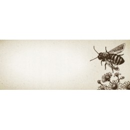 16 vnt lipdukų stiklainiams 40ml 60x23, etiketės su spauda