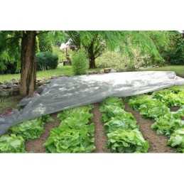 Pavasarinė UV apsauga agrotekstilė - sodininkas