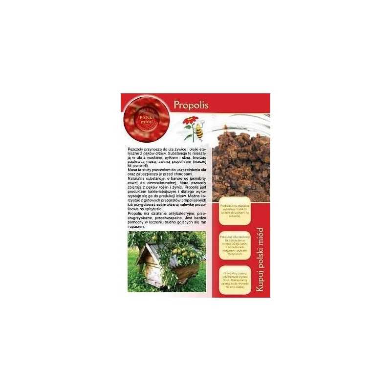 Siūlome informacinę brošiūrą – nauja – propolis!