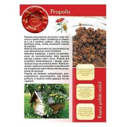 Propolio informacinė brošiūra