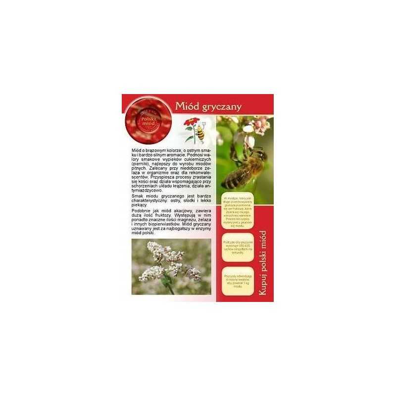 Siūlome informacinę brošiūrą - naujiena - grikių medus!