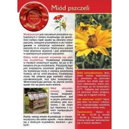 Siūlome informacinę brošiūrą - naujiena - bičių medus!