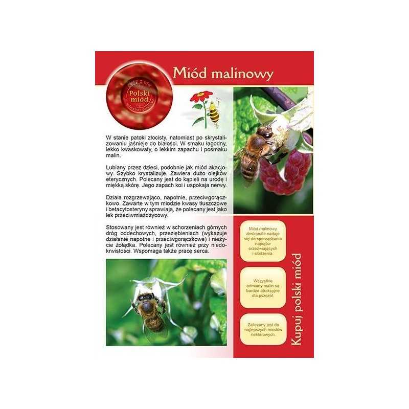 Siūlome informacinę brošiūrą - naujiena - aviečių medus!