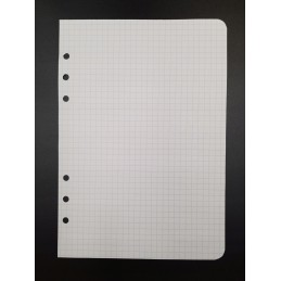 Įdėklas organizatoriui A5