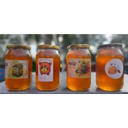 10 vnt medaus lipdukų etiketės iš šeimos bityno