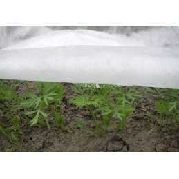 ☘️balta žieminė agrotekstilė 1,6x10m (30g)☘️
