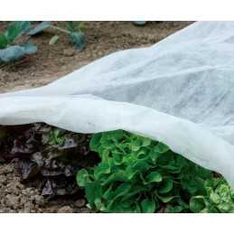 ☘️balta žieminė agrotekstilė 1,6x10m (30g)☘️