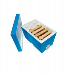 Medinis vestuvių gatvės rėmas