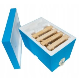 Medinis vestuvinio avilio karkasas, surinktas Medinis vestuvinio avilio karkasas