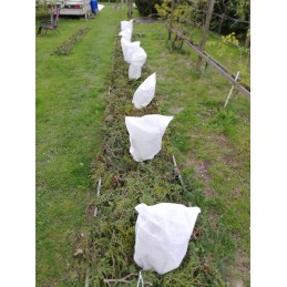 Žiemos apsauginis gaubtas medžiams ir krūmams 55x75 cm 5 vnt