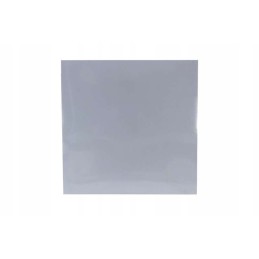 Vinidure folija iš Didžiosios Lenkijos