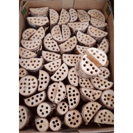 Užpildas vabzdžių nameliui - išgręžtas medinis kaištis