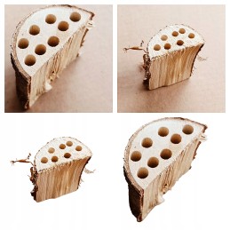 Užpildas vabzdžių nameliui - išgręžtas medinis kaištis