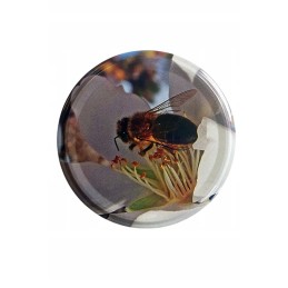 Stiklainių dangteliai, skersmuo 82 (pak. 10 vnt.)